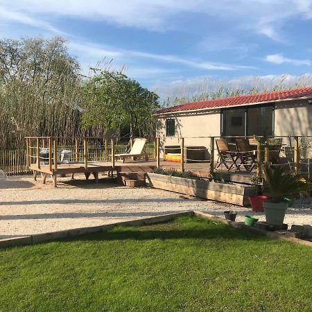 Tiny House Sur La Cote D'Azur Villa Hyeres Exterior photo